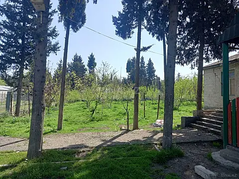 Satılır obyekt 175 m²