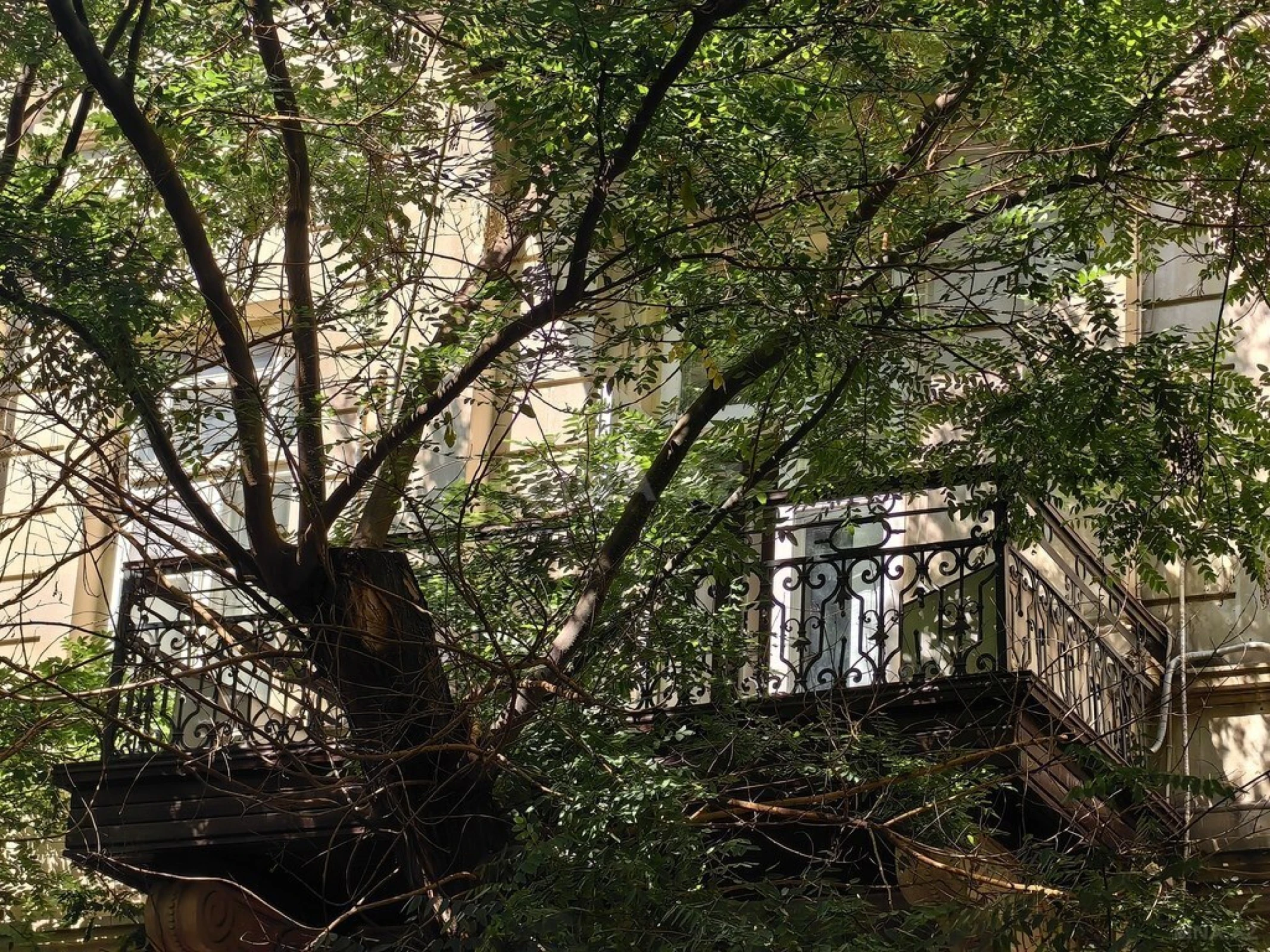 Satılır 4 otaqlı mənzil 130 m²