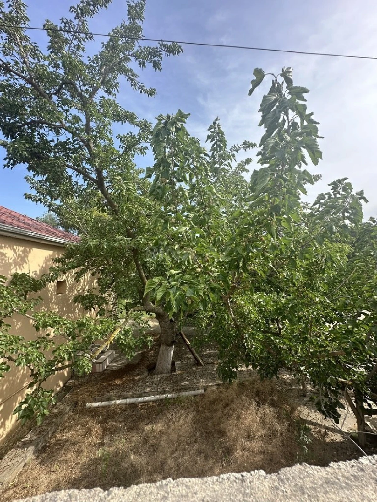 Satılır torpaq sahəsi 18 m²