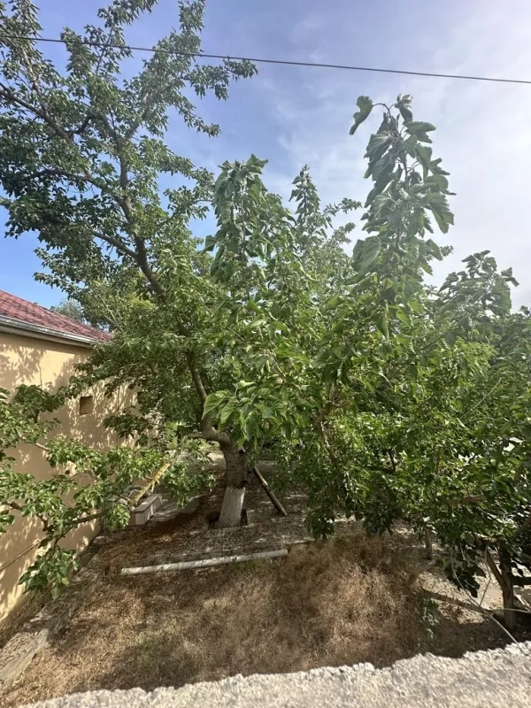 Satılır torpaq sahəsi 18 m²