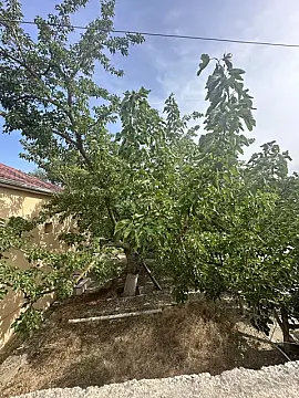 Satılır torpaq sahəsi 18 m²