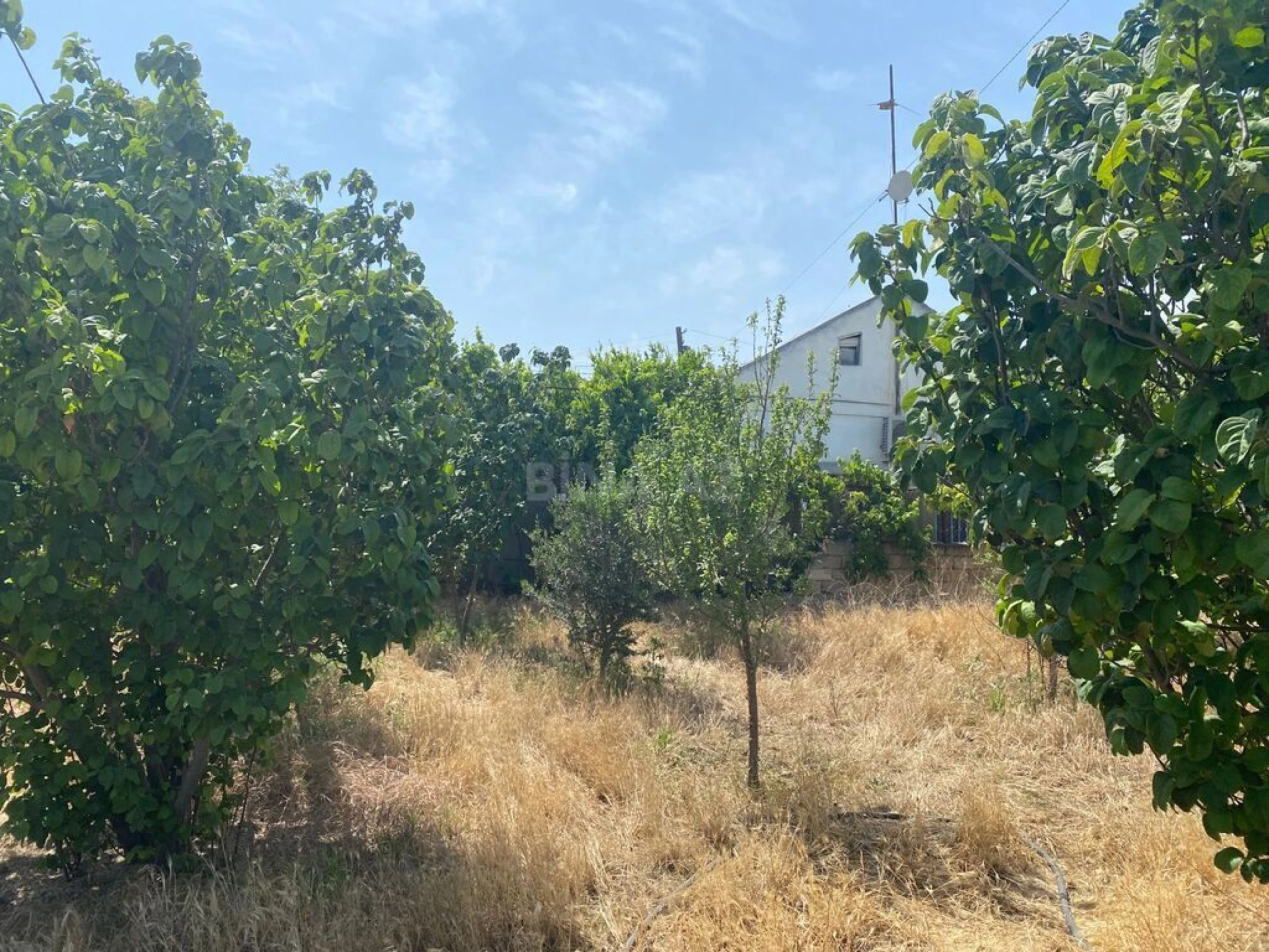 Satılır torpaq sahəsi 13 m²