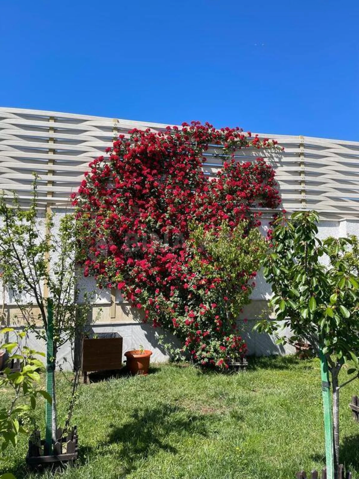 Satılır 7 otaqlı həyət evi 500 m²