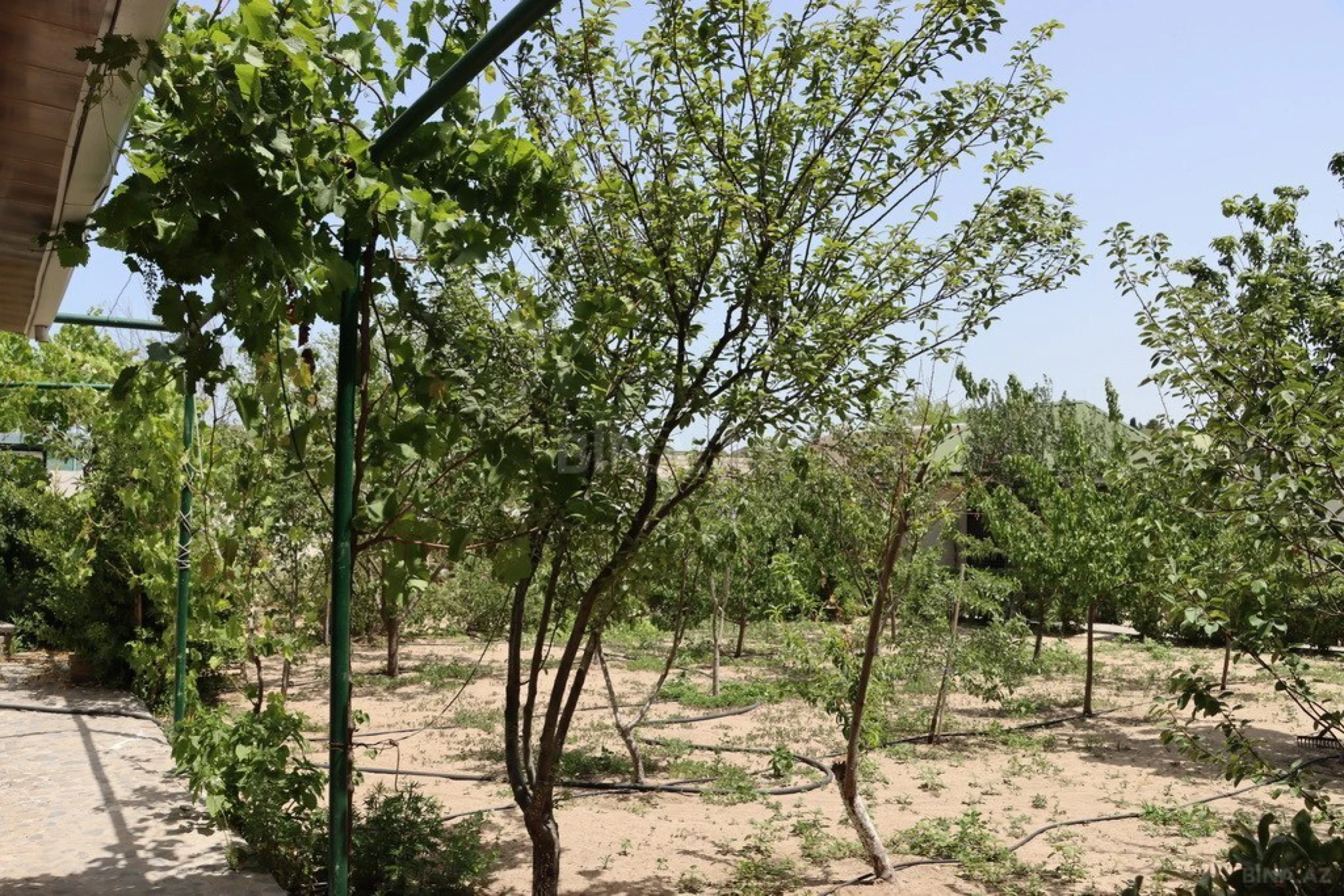 Kirayə verilir 3 otaqlı həyət evi 140 m²