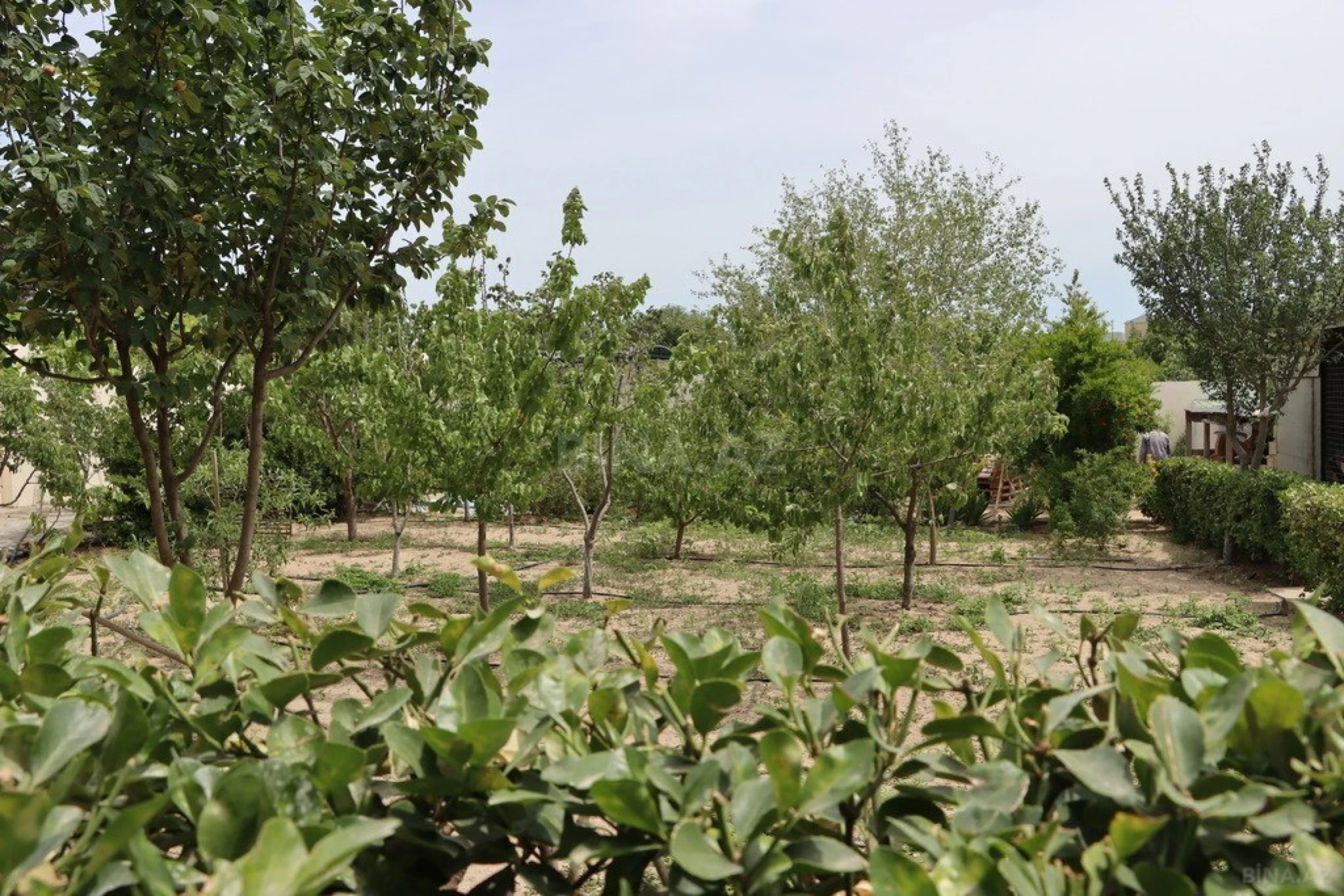 Kirayə verilir 3 otaqlı həyət evi 140 m²