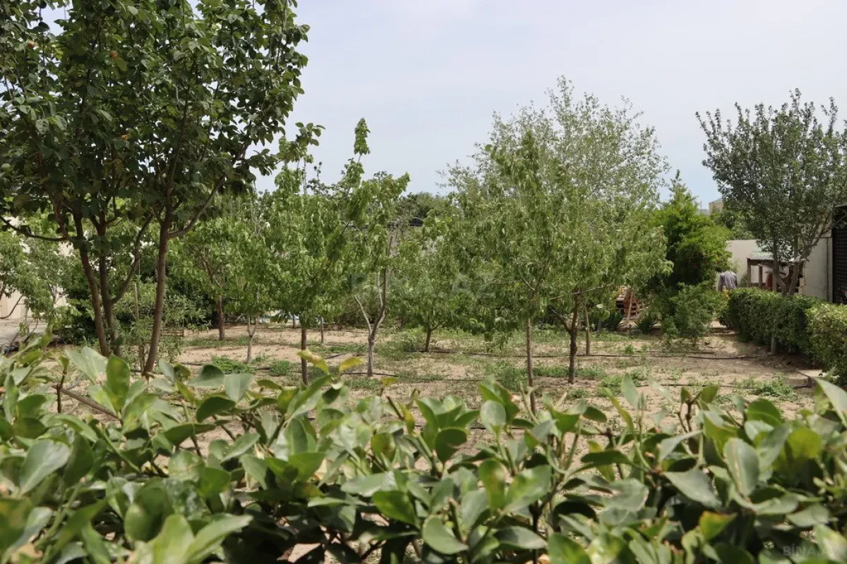 Kirayə verilir 3 otaqlı həyət evi 140 m²