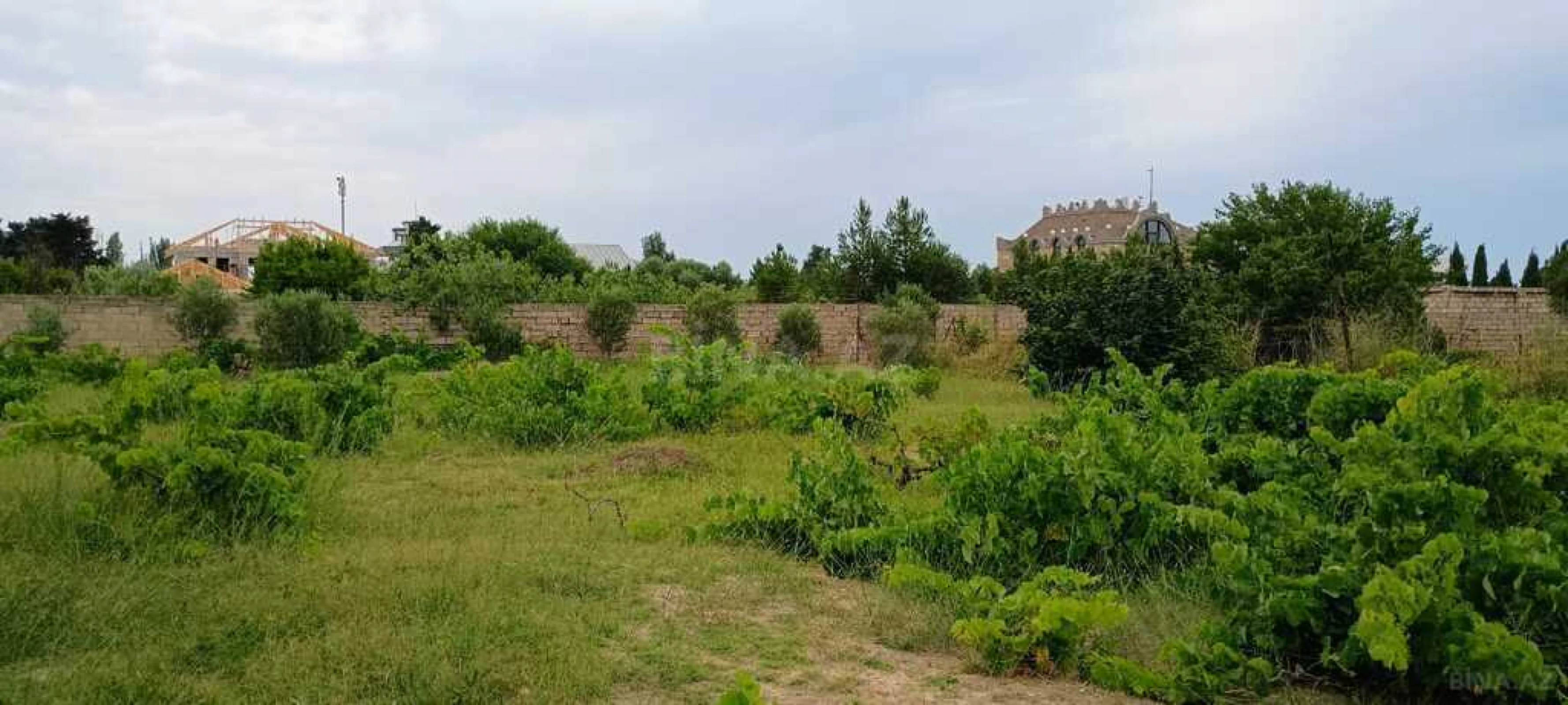 Satılır torpaq sahəsi 50 m²