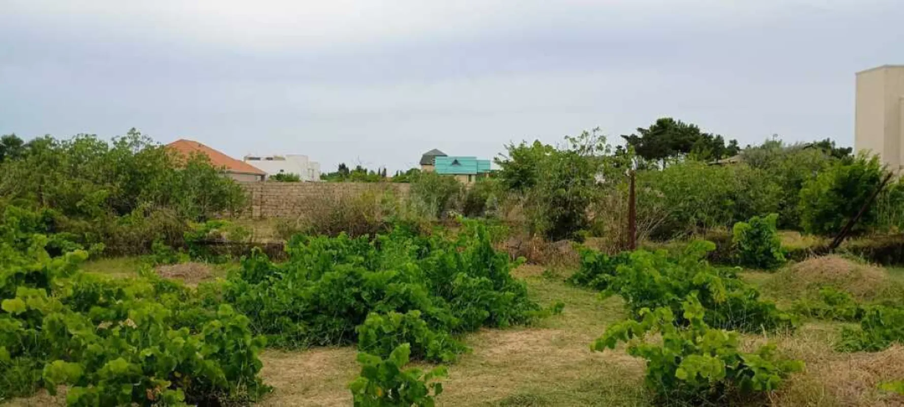 Satılır torpaq sahəsi 50 m²