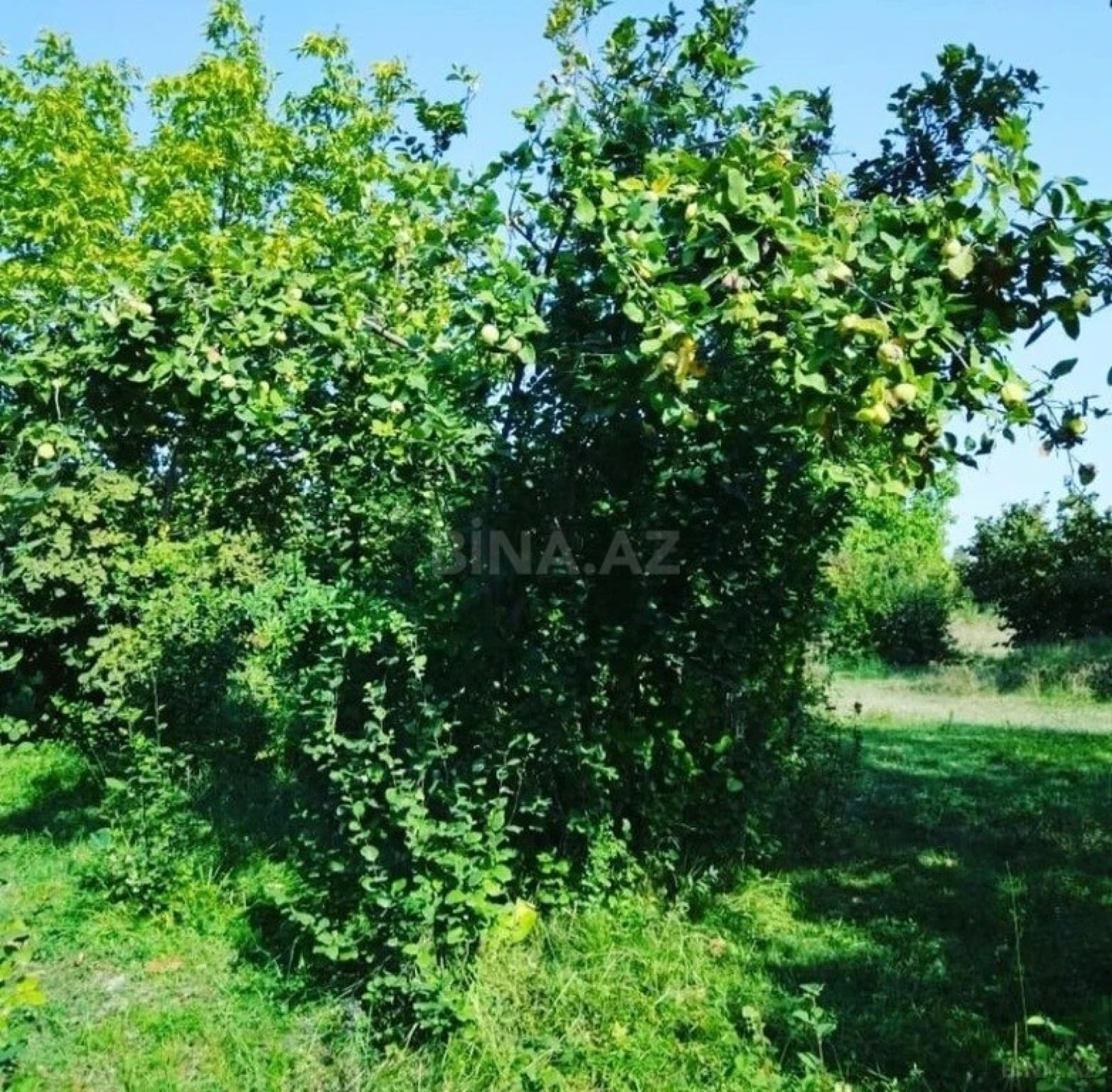 Satılır torpaq sahəsi 12 m²