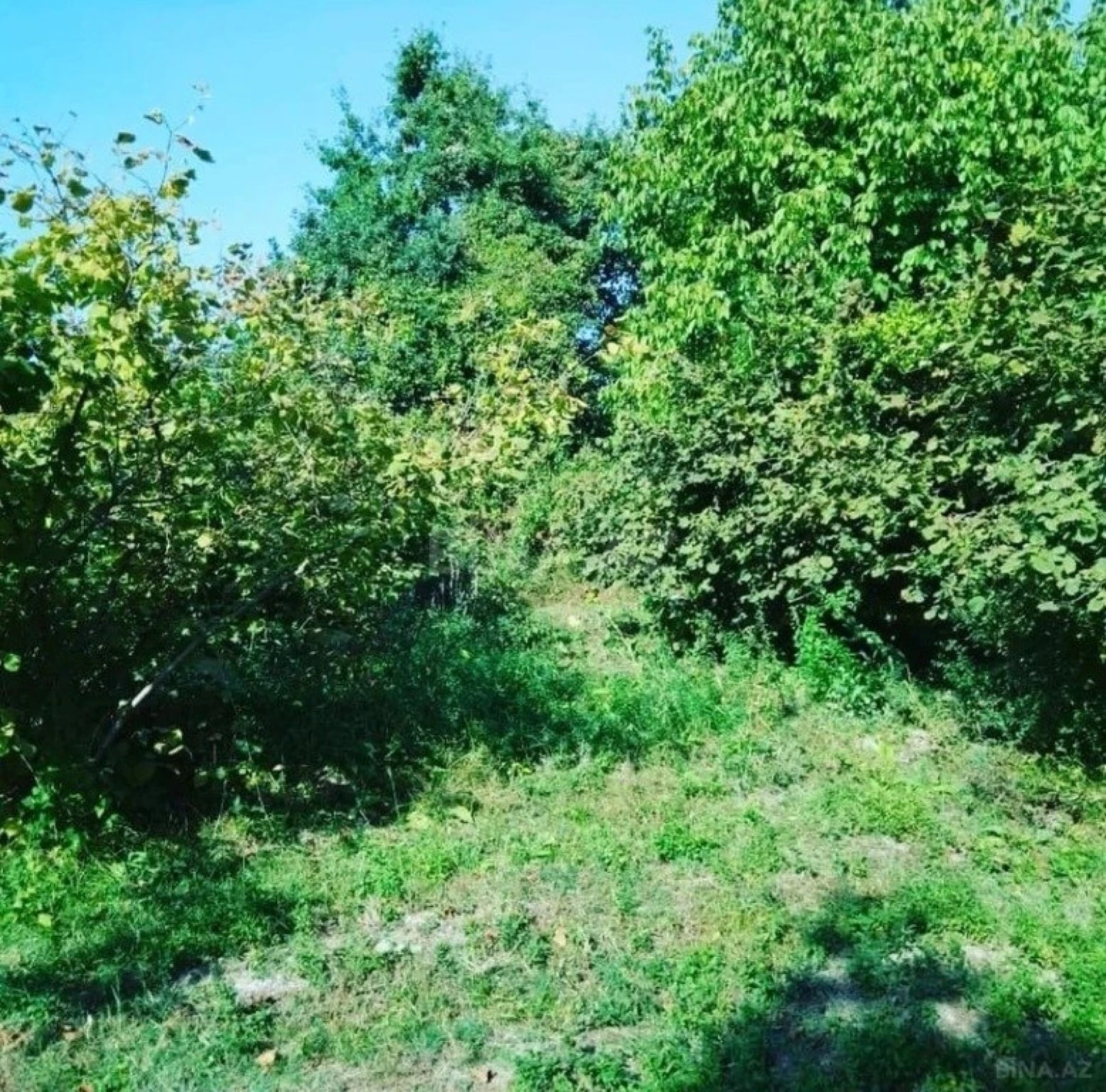 Satılır torpaq sahəsi 12 m²