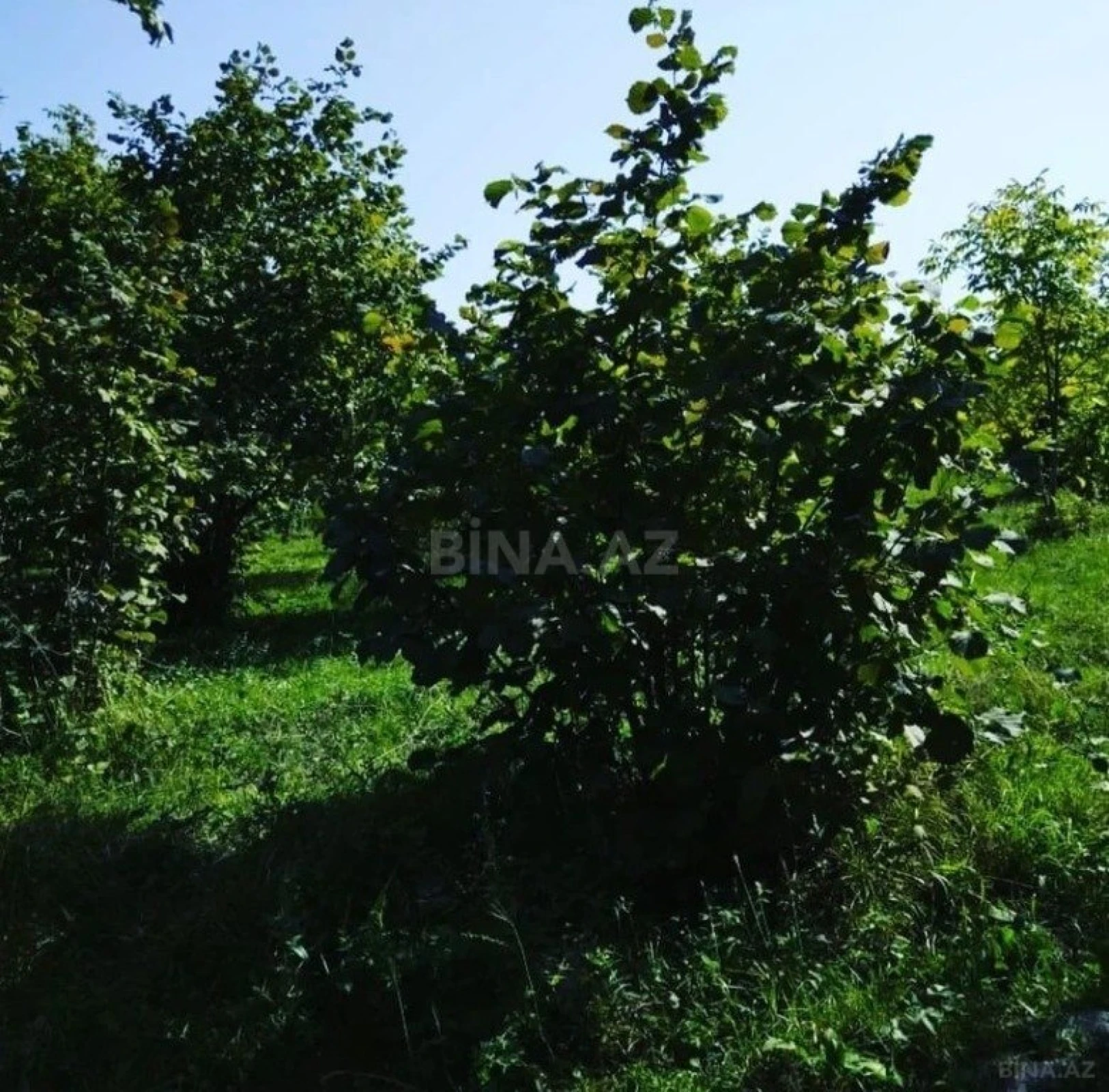 Satılır torpaq sahəsi 12 m²