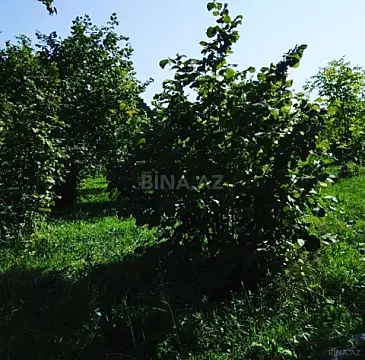 Satılır torpaq sahəsi 12 m²