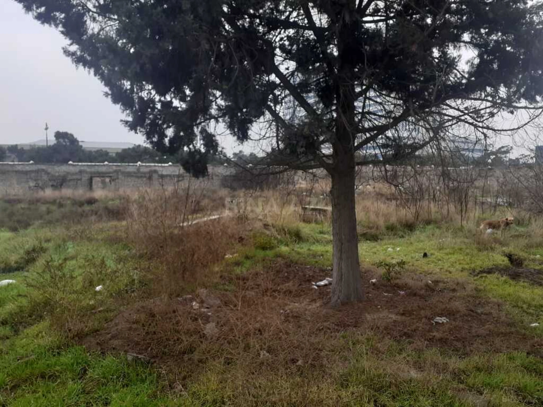 Satılır torpaq sahəsi 500 m²