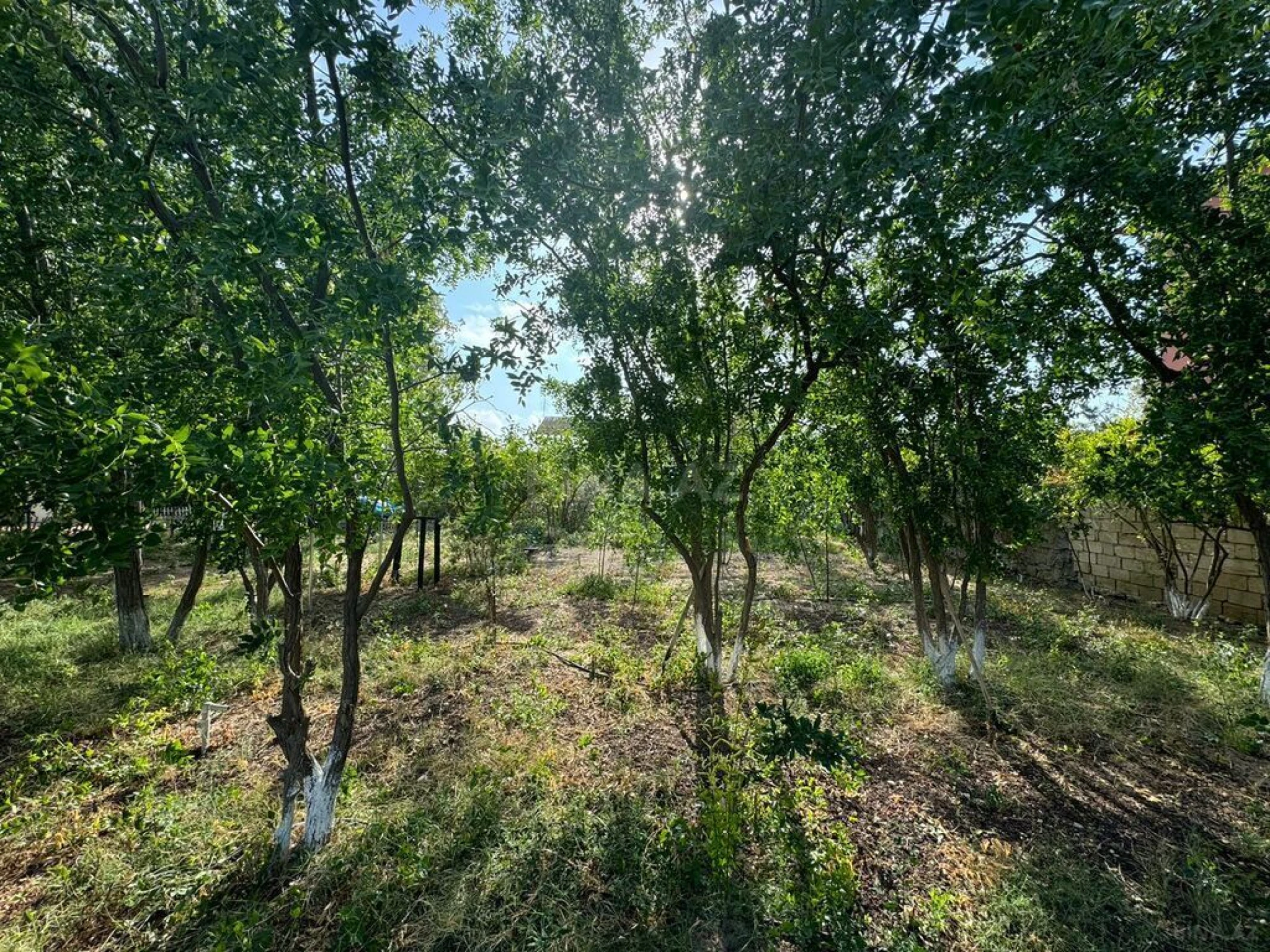 Satılır torpaq sahəsi 20 m²