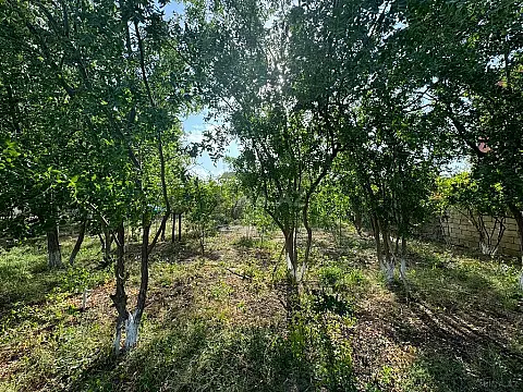 Satılır torpaq sahəsi 20 m²
