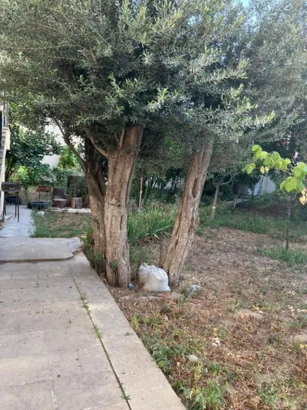 Satılır torpaq sahəsi 13 m²