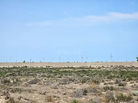 Satılır torpaq sahəsi 8000 m²