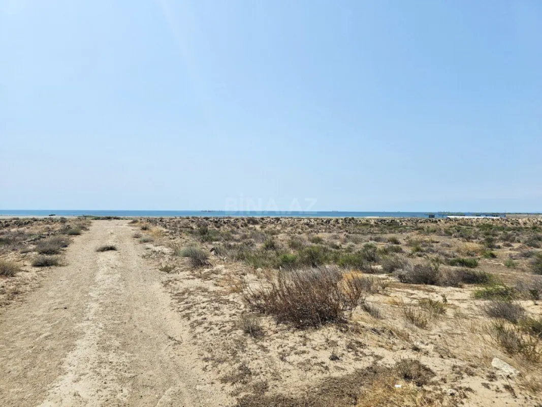 Satılır torpaq sahəsi 8000 m²