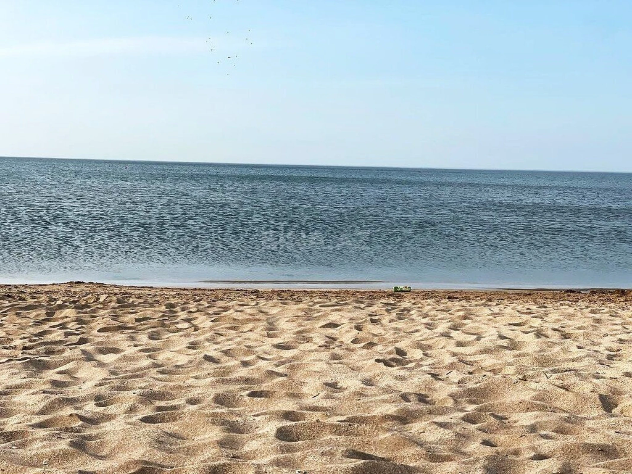 Satılır torpaq sahəsi 8000 m²