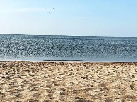 Satılır torpaq sahəsi 8000 m²