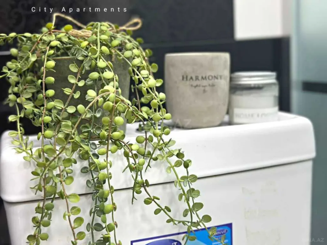 Kirayə verilir 2 otaqlı mənzil 50 m²