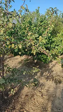 Satılır torpaq sahəsi 2 m²