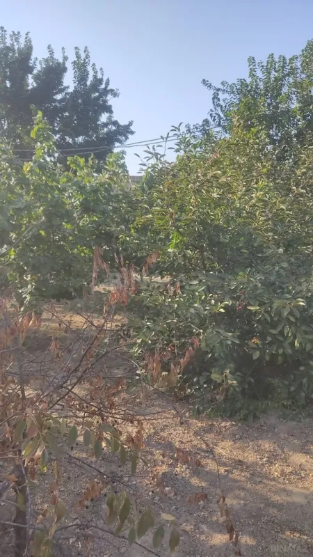 Satılır torpaq sahəsi 2 m²