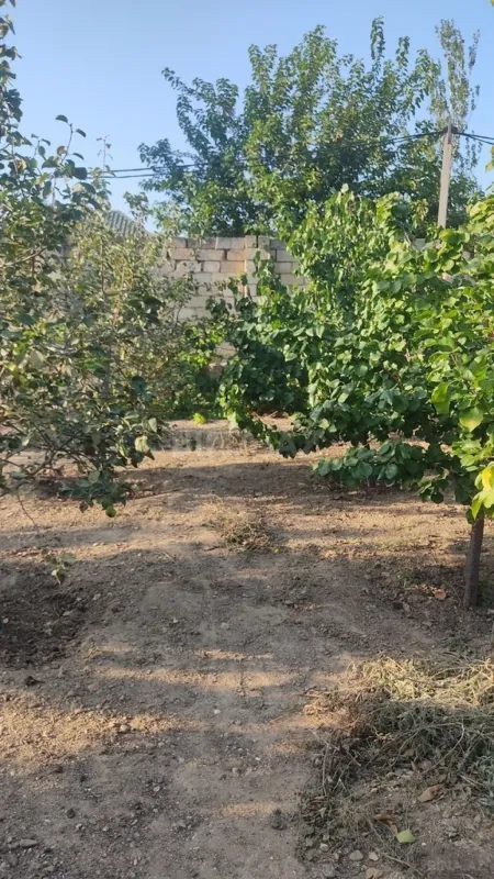 Satılır torpaq sahəsi 2 m²