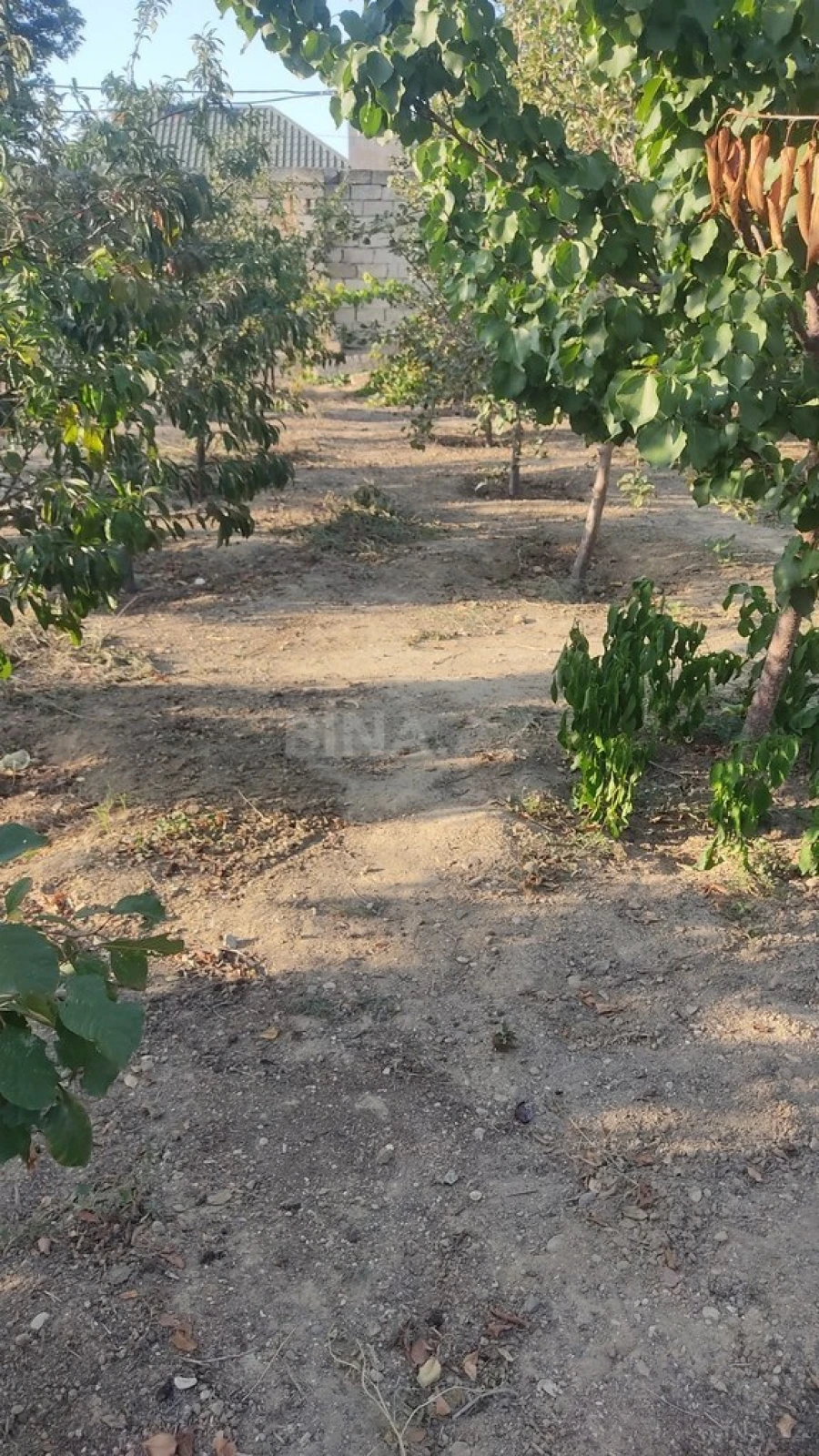 Satılır torpaq sahəsi 2 m²