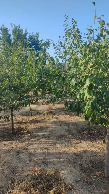 Satılır torpaq sahəsi 2 m²