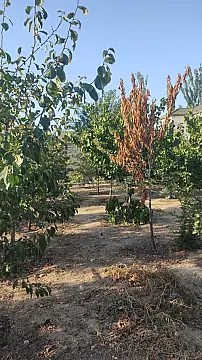 Satılır torpaq sahəsi 2 m²