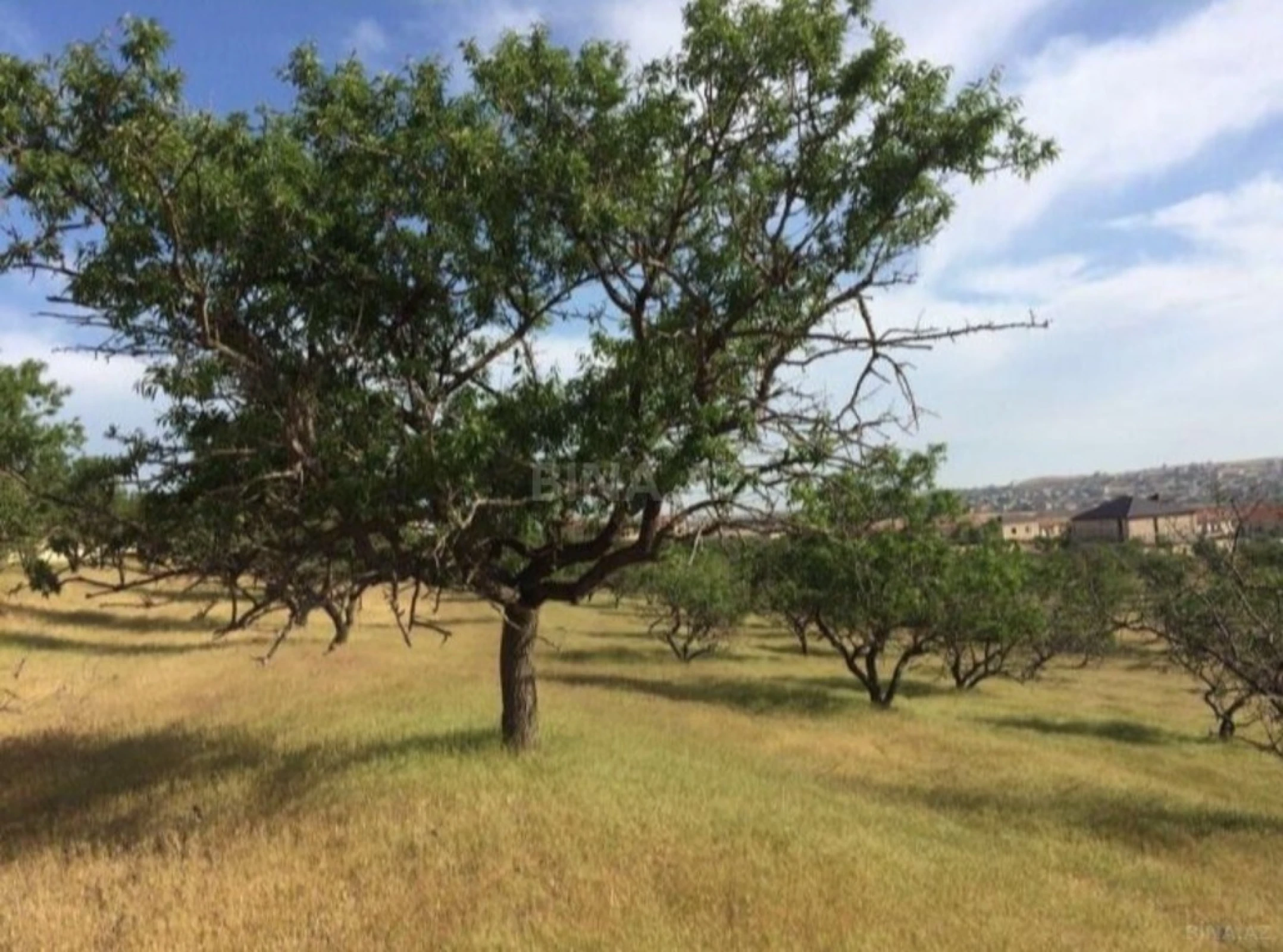 Satılır torpaq sahəsi 37 m²