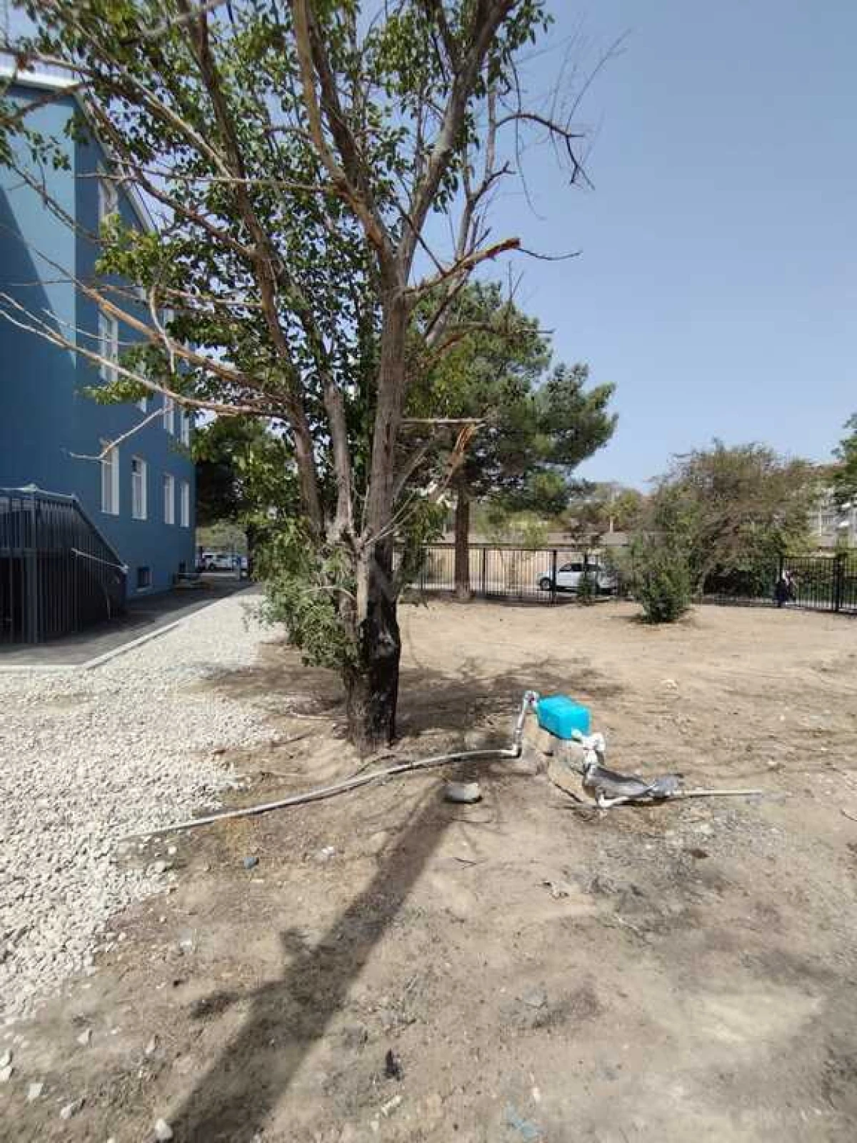 Kirayə verilir obyekt 5000 m²