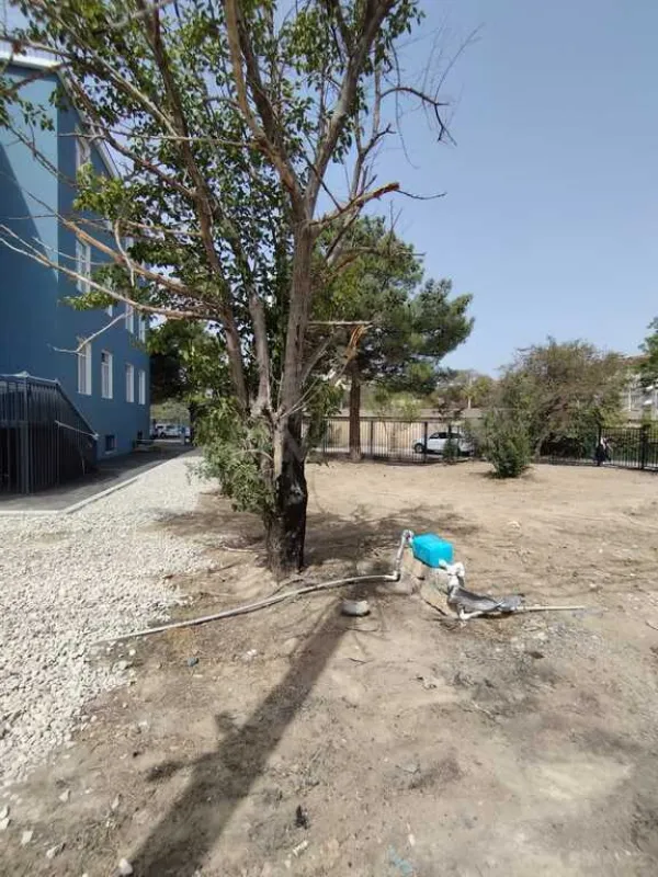 Kirayə verilir obyekt 5000 m²