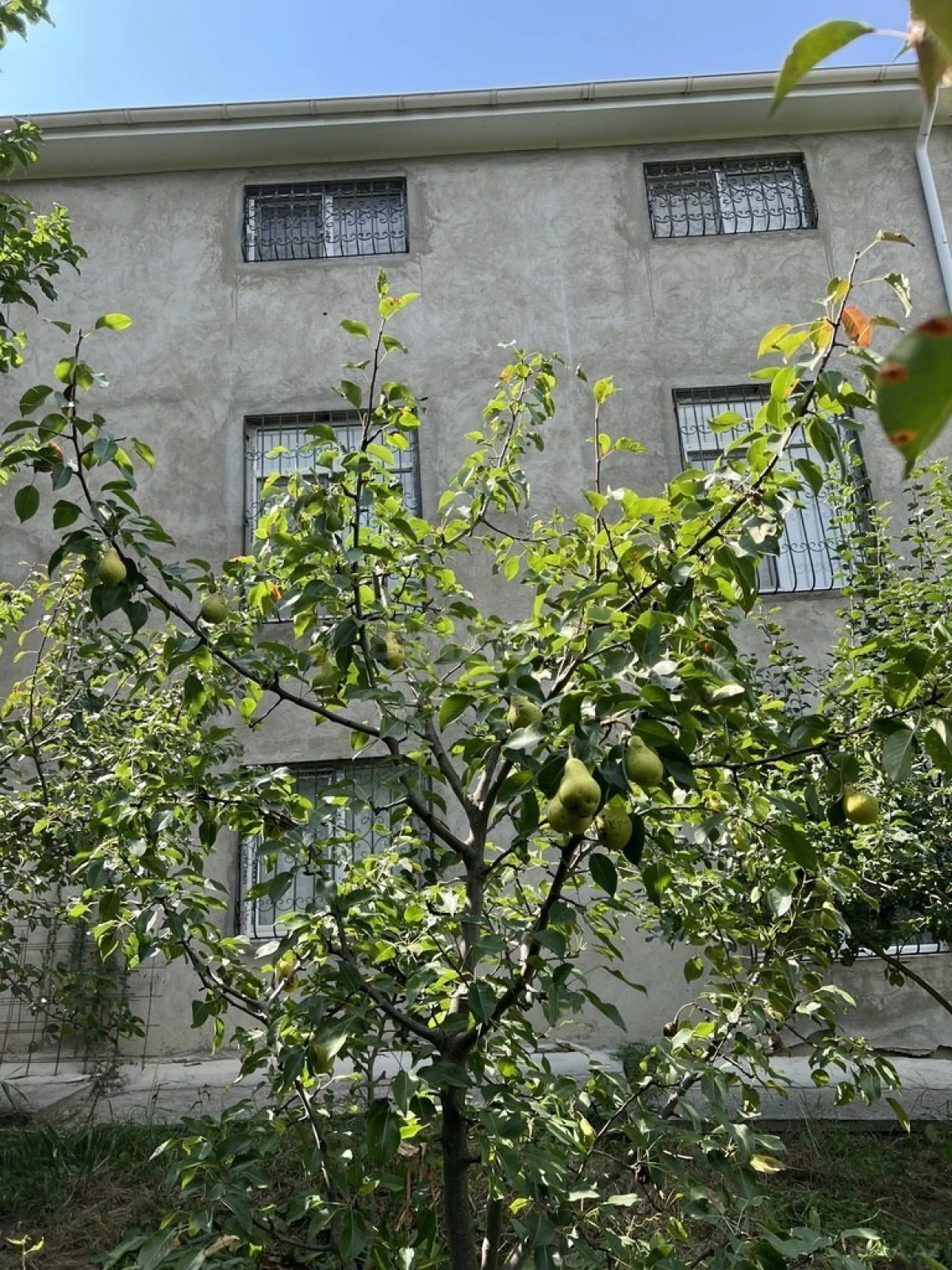 Satılır 8 otaqlı həyət evi 329 m²