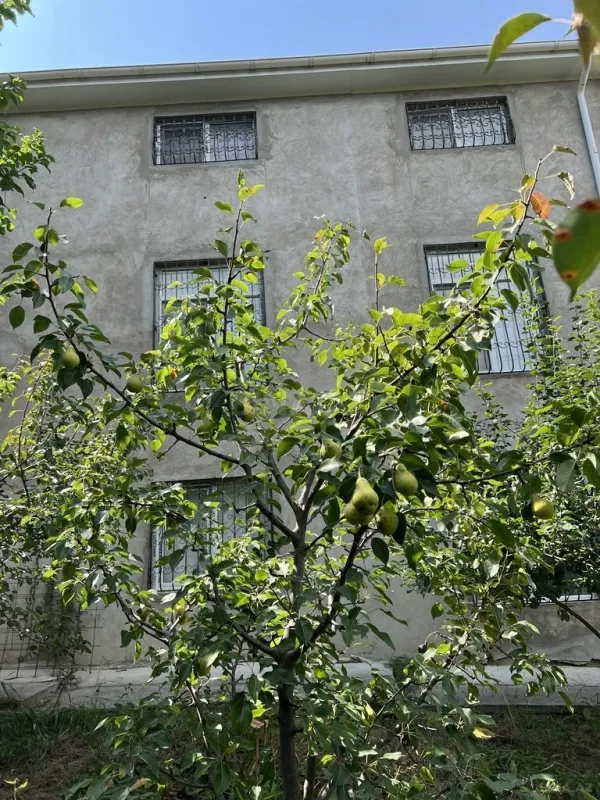 Satılır 8 otaqlı həyət evi 329 m²