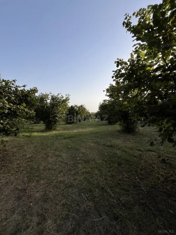 Satılır torpaq sahəsi 100 m²