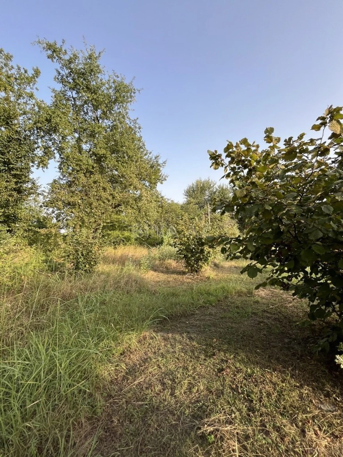 Satılır torpaq sahəsi 100 m²