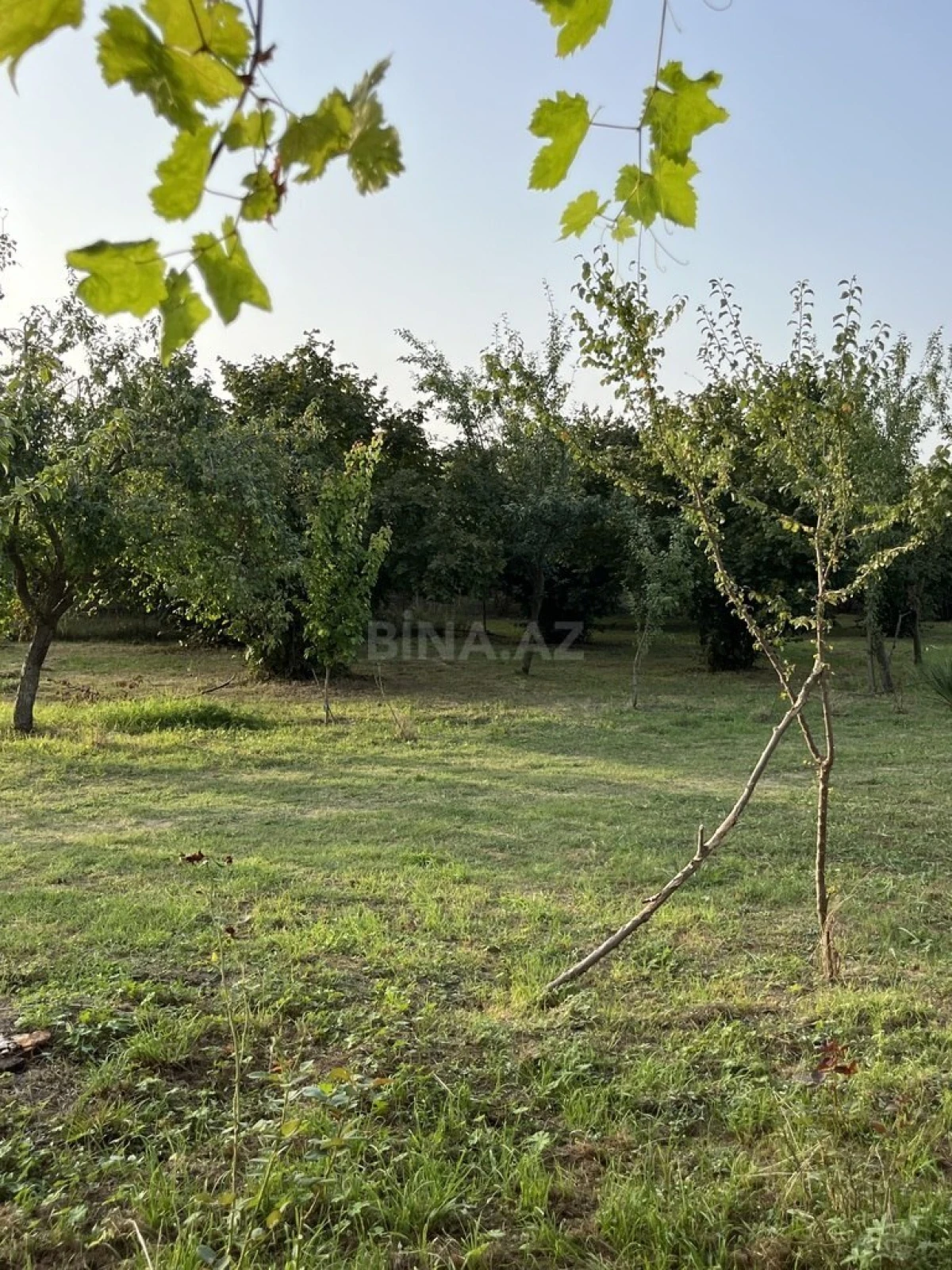 Satılır torpaq sahəsi 100 m²