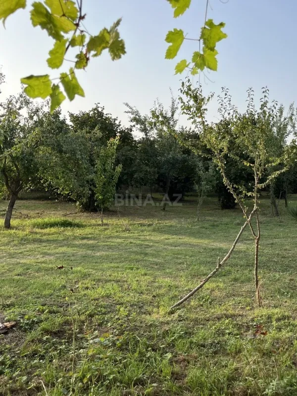 Satılır torpaq sahəsi 100 m²