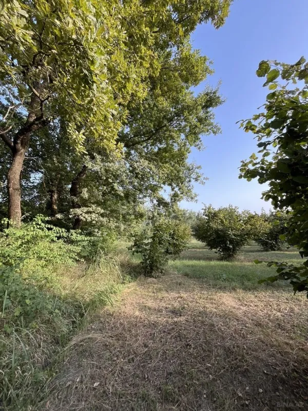 Satılır torpaq sahəsi 100 m²