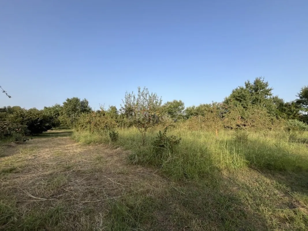 Satılır torpaq sahəsi 100 m²