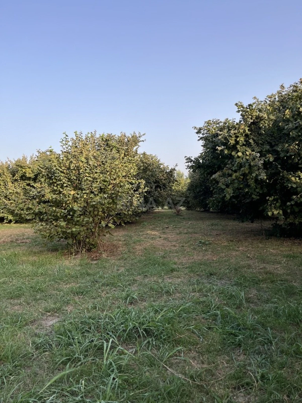 Satılır torpaq sahəsi 100 m²