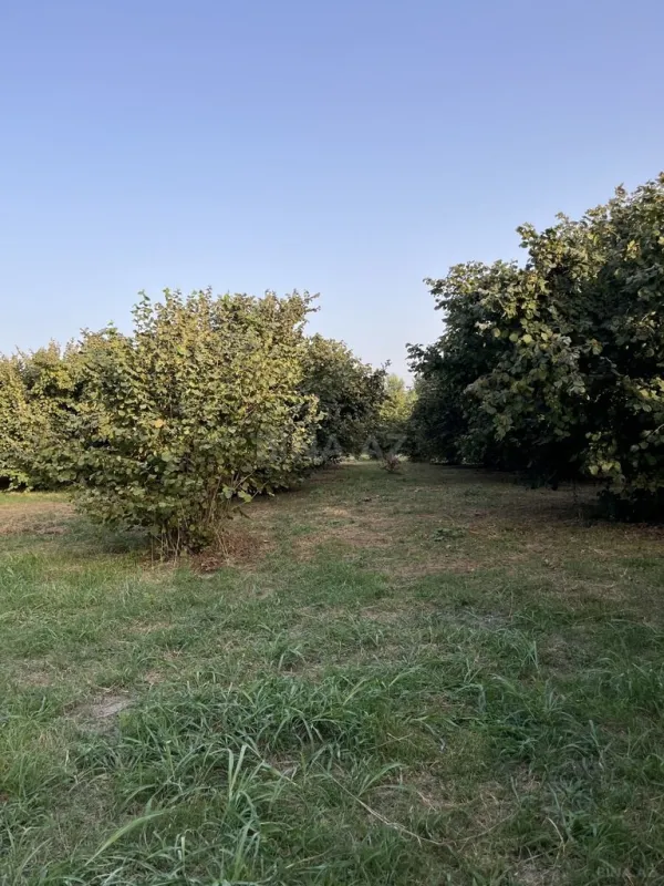 Satılır torpaq sahəsi 100 m²