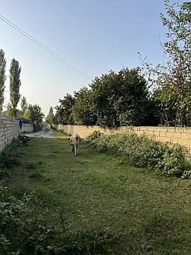 Satılır torpaq sahəsi 100 m² — Qəbələ 100.00 m²