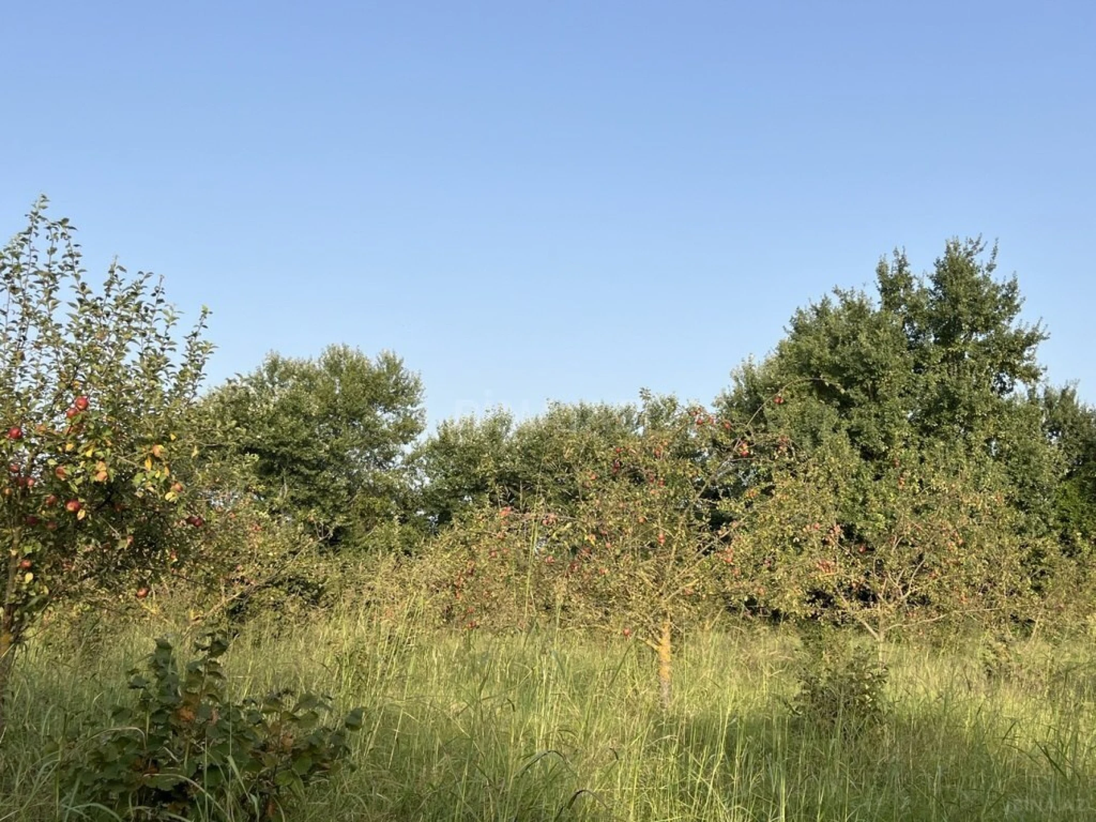 Satılır torpaq sahəsi 100 m²