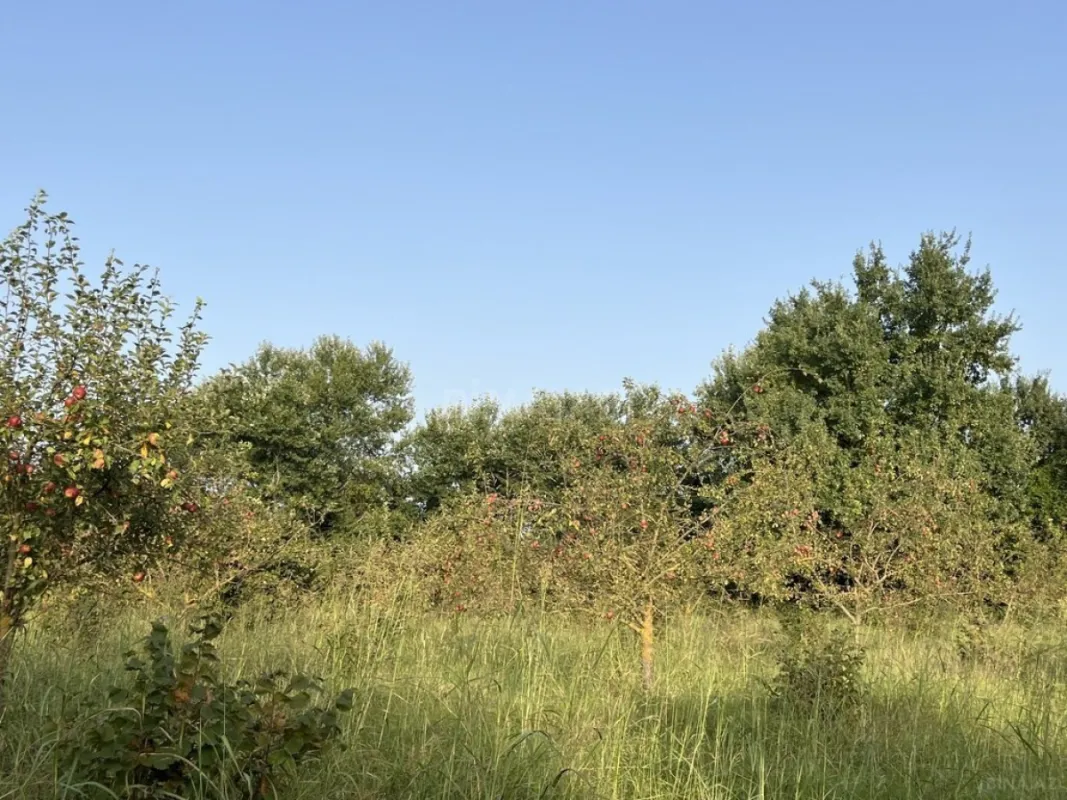 Satılır torpaq sahəsi 100 m²