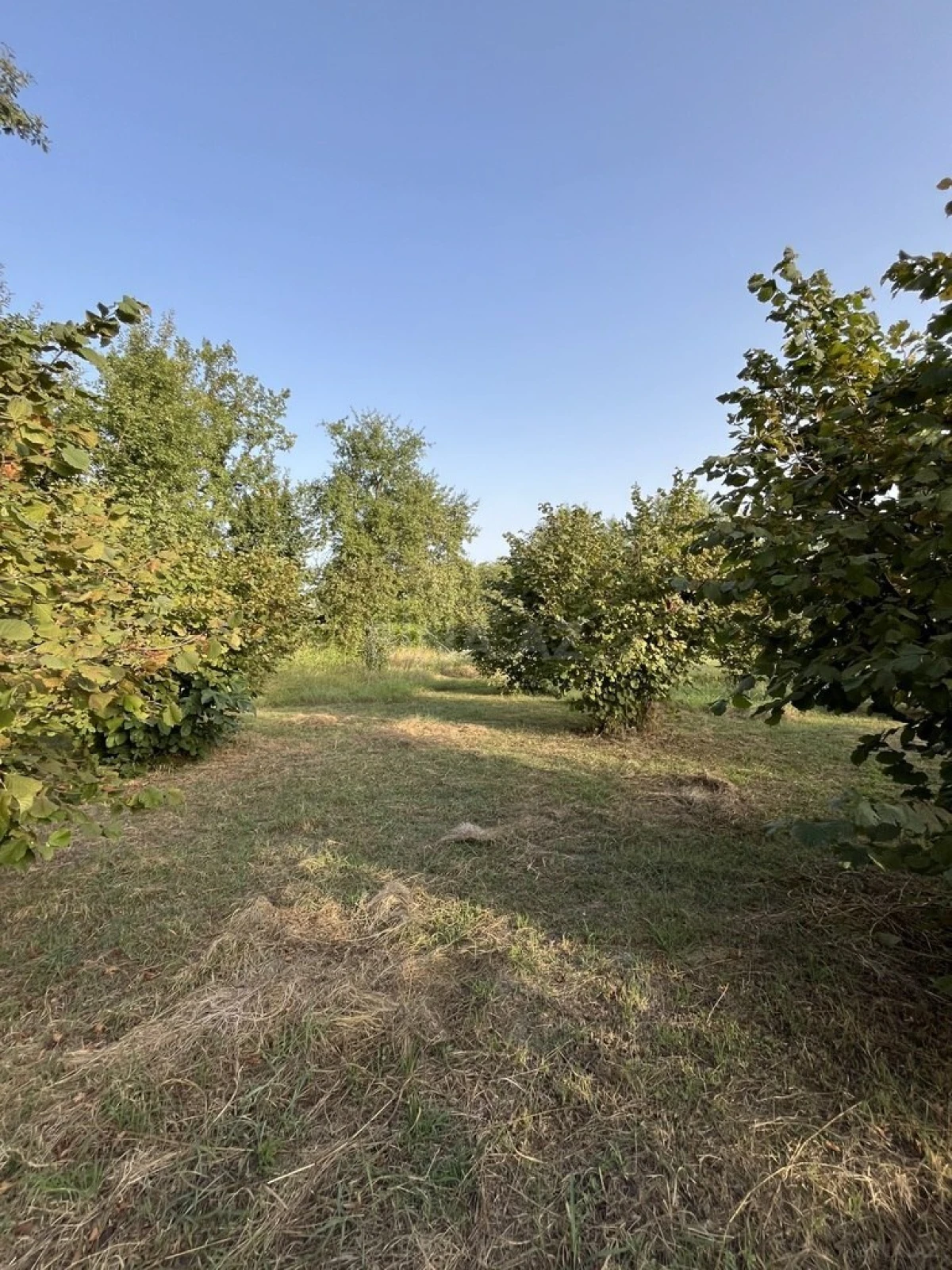 Satılır torpaq sahəsi 100 m²