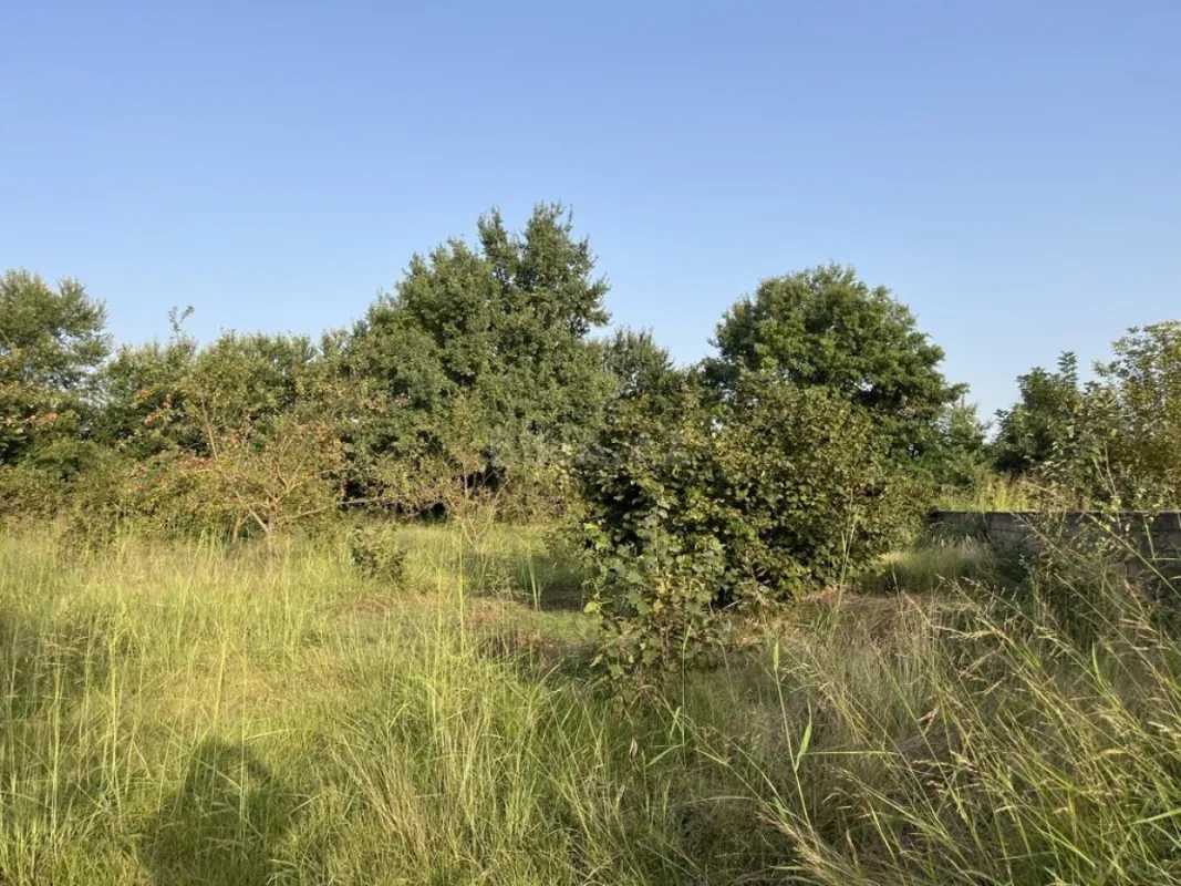 Satılır torpaq sahəsi 100 m²