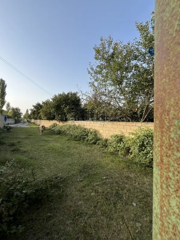 Satılır torpaq sahəsi 100 m²